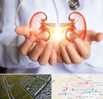 دکتر اورولوژی کودکان در الهیه مشهد 