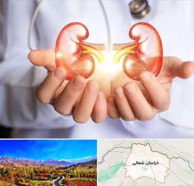 دکتر اورولوژی کودکان در خراسان شمالی
