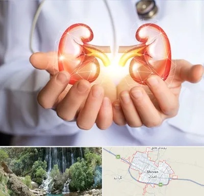 دکتر اورولوژی کودکان در شیروان