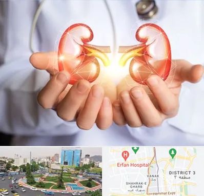 دکتر اورولوژی کودکان در ونک 