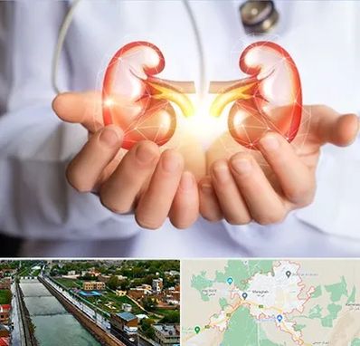 دکتر اورولوژی کودکان در مراغه