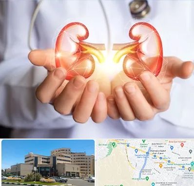 دکتر اورولوژی کودکان در صیاد شیرازی مشهد 