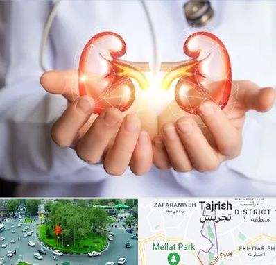 دکتر اورولوژی کودکان در تجریش 