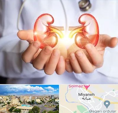 دکتر اورولوژی کودکان در میانه