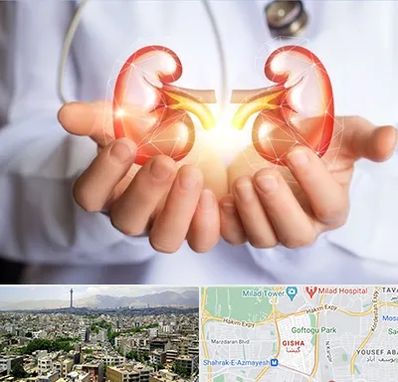 دکتر اورولوژی کودکان در گیشا 