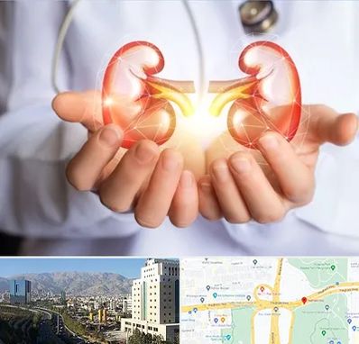 دکتر اورولوژی کودکان در حقانی 