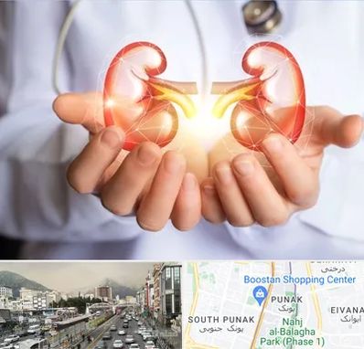 دکتر اورولوژی کودکان در پونک 