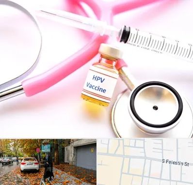 واکسن زگیل تناسلی HPV در خیابان فلسطین
