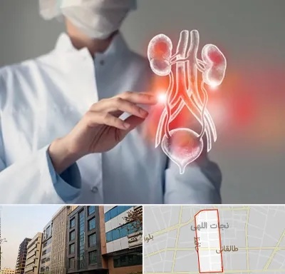 کلینیک اورولوژی در نجات اللهی