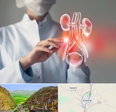 کلینیک اورولوژی در کامیاران