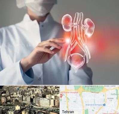 کلینیک اورولوژی در مرزداران