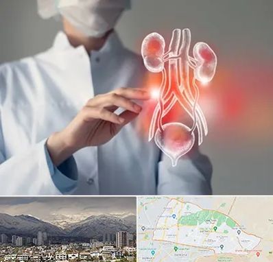 کلینیک اورولوژی در منطقه 4 تهران
