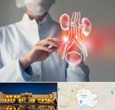 کلینیک اورولوژی در برازجان