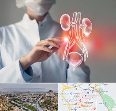 کلینیک اورولوژی در معالی آباد شیراز 