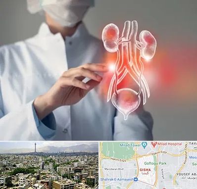 کلینیک اورولوژی در گیشا