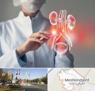 کلینیک اورولوژی در مشکین دشت