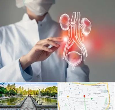 کلینیک اورولوژی در سرسبز 