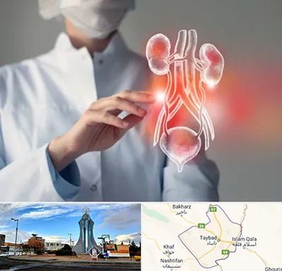 کلینیک اورولوژی در تایباد
