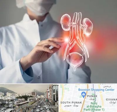 کلینیک اورولوژی در پونک 