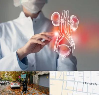 کلینیک اورولوژی در خیابان فلسطین