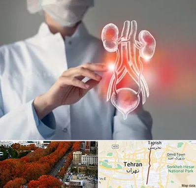 کلینیک اورولوژی در ولیعصر