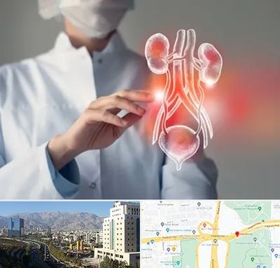 کلینیک اورولوژی در حقانی