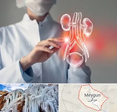 کلینیک اورولوژی در میگون