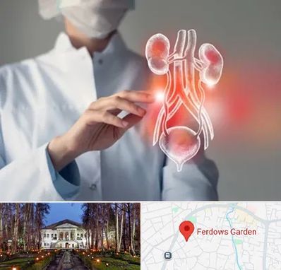 کلینیک اورولوژی در باغ فردوس