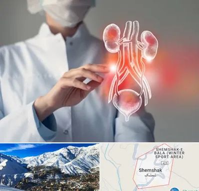 کلینیک اورولوژی در شمشک