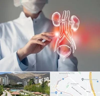 کلینیک اورولوژی در شهر زیبا 