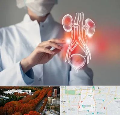 کلینیک اورولوژی در منطقه 6 تهران 