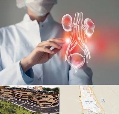 کلینیک اورولوژی در شاهین شهر