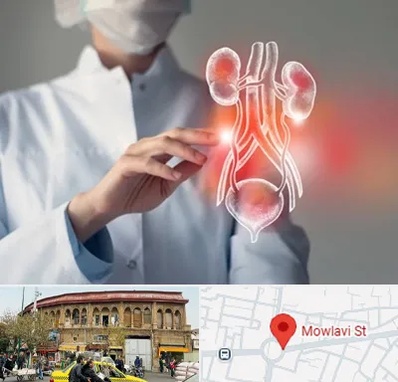 کلینیک اورولوژی در مولوی