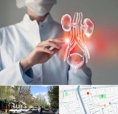 کلینیک اورولوژی در کوی فیروز تبریز