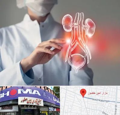 کلینیک اورولوژی در امین حضور