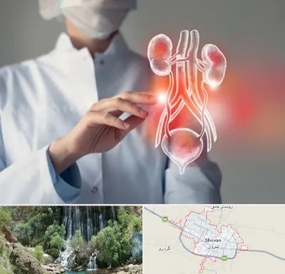 کلینیک اورولوژی در شیروان