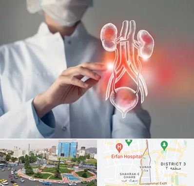 کلینیک اورولوژی در ونک
