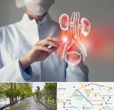 کلینیک اورولوژی در خیابان ارم شیراز 