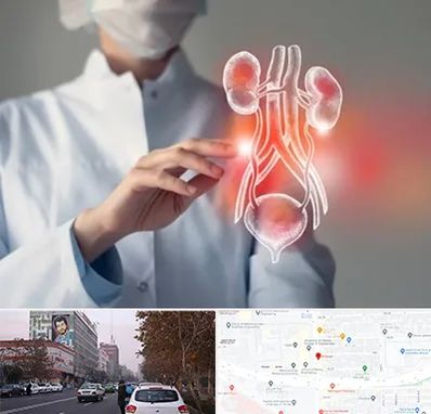 کلینیک اورولوژی در کارگر شمالی 