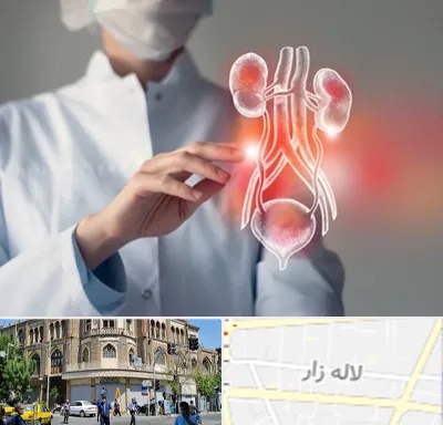 کلینیک اورولوژی در لاله زار