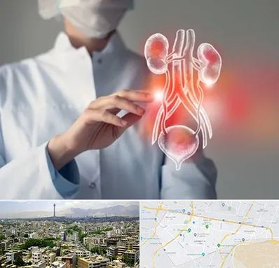 کلینیک اورولوژی در منطقه 8 تهران