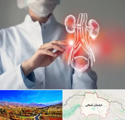کلینیک اورولوژی در خراسان شمالی