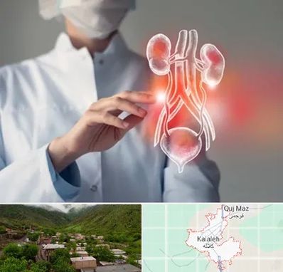 کلینیک اورولوژی در کلاله