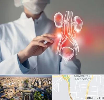 کلینیک اورولوژی در استاد معین 