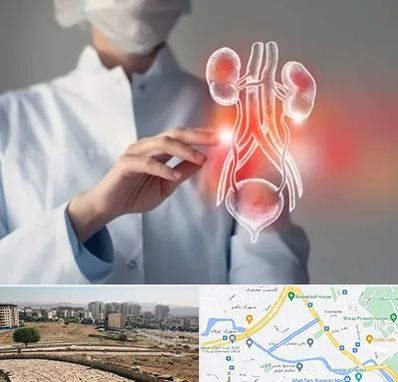 کلینیک اورولوژی در کوی وحدت شیراز 