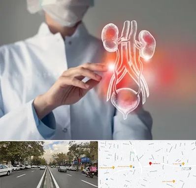 کلینیک اورولوژی در دولت 