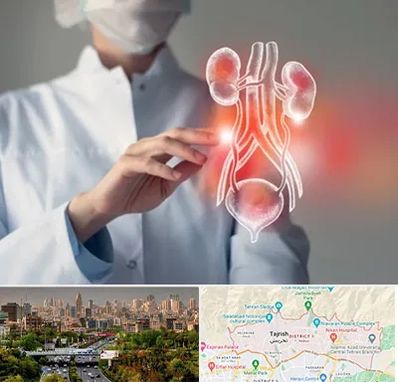 کلینیک اورولوژی در منطقه 1 تهران 