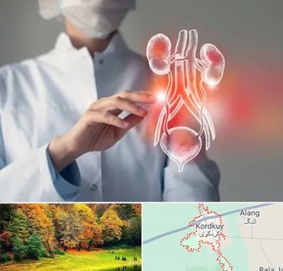 کلینیک اورولوژی در کردکوی