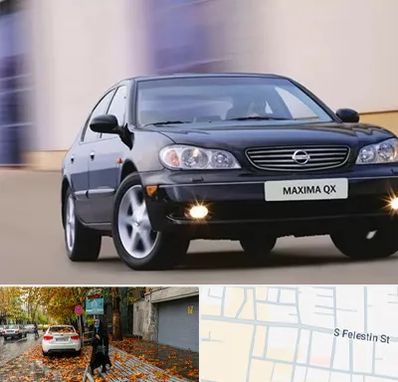 لوازم یدکی ماکسیما در خیابان فلسطین