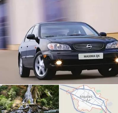 لوازم یدکی ماکسیما در الیگودرز